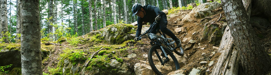 Mannelijke mountainbiker die een trail in een bos afdaalt met veel rotsen en bomen