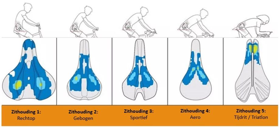 Verschillende zithoudingen (rechtop, gebogen, sportief, aero, tijdrit/triatlon) gekoppeld aan de juiste type zadelvormen
