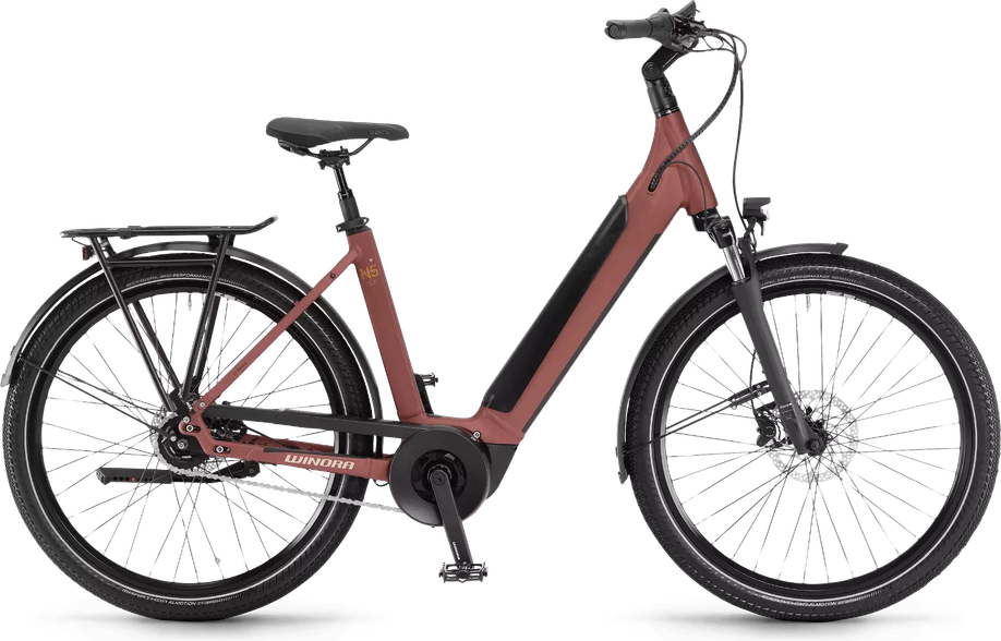 e-bike met beste prijs-kwaliteitverhouding