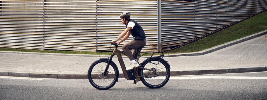 Elektrische Riese &amp; Müller in de stad