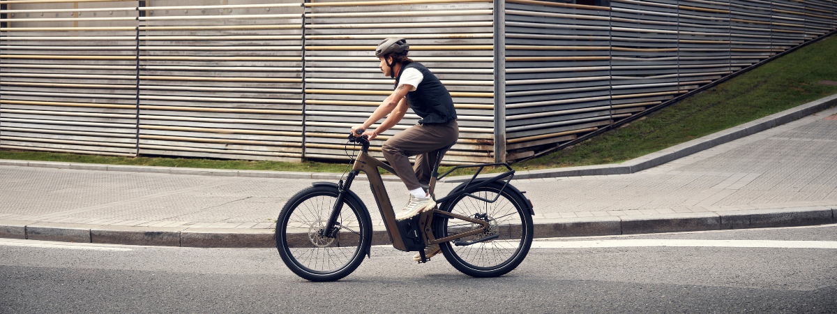 Beste e-bike merken: Riese & Müller