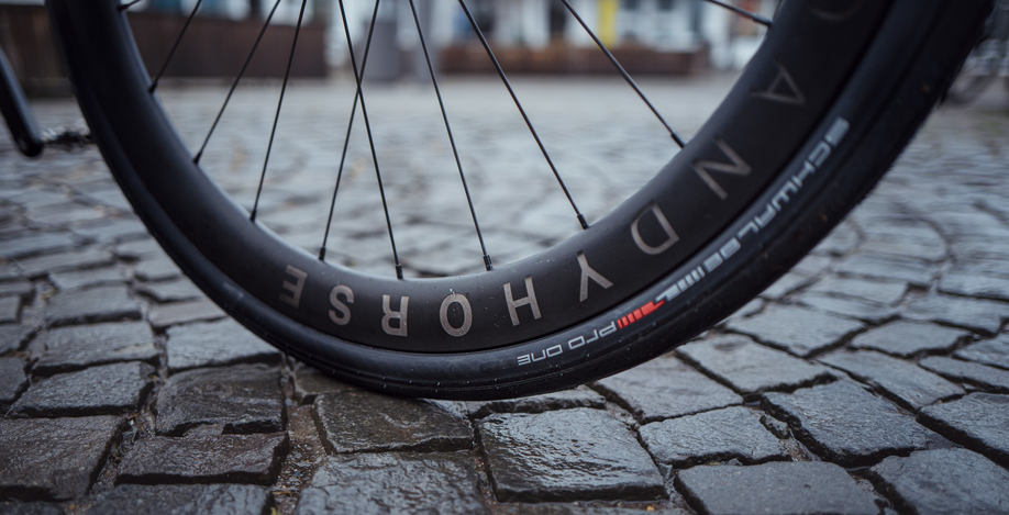 Schwalbe band closeup