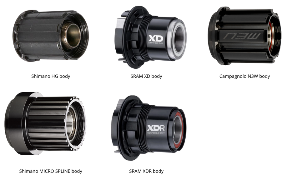 Verschillende Typen Bodies