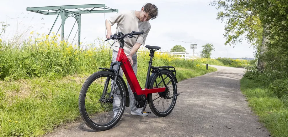 Rode Riese&amp;Muller fiets