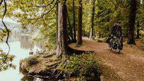 Koopgids: Trekking hybride fietsen