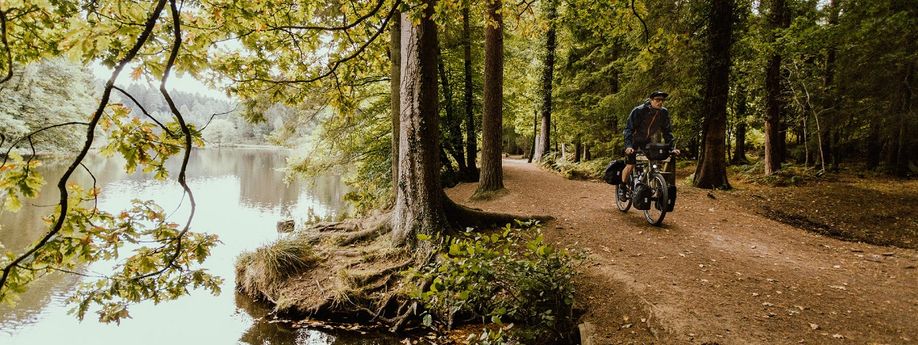 Koopgids: Trekking hybride fietsen