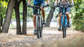 Koopgids: Crosshybride fietsen