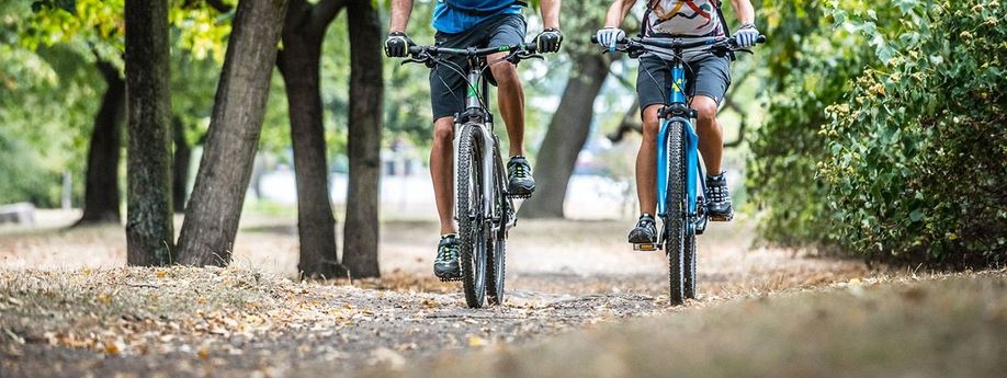 Koopgids: Crosshybride fietsen