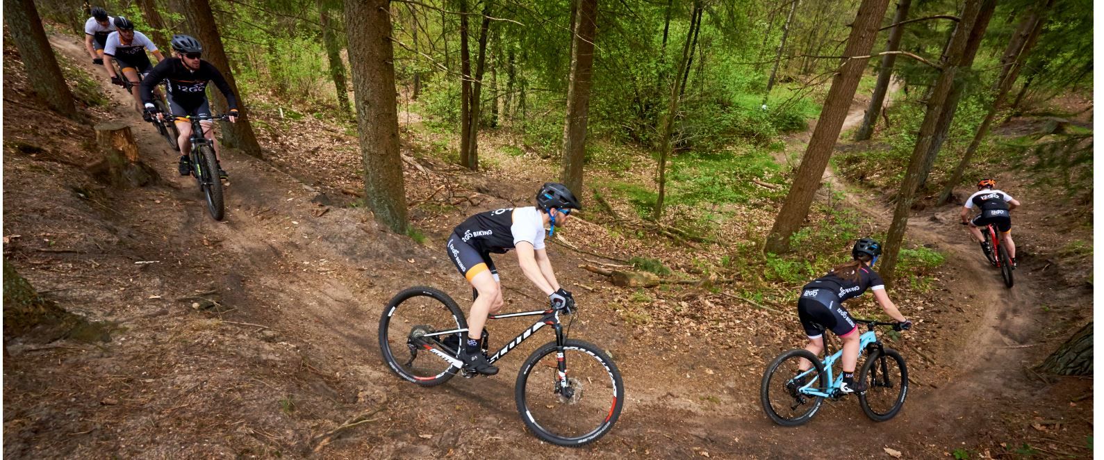 Groep van 12GO Biking mountainbikers die een trail in het bos achter elkaar afdalen in een bocht