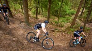 Groep van 12GO Biking mountainbikers die een trail in het bos achter elkaar afdalen in een bocht