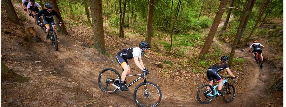 Groep van 12GO Biking mountainbikers die een trail in het bos achter elkaar afdalen in een bocht