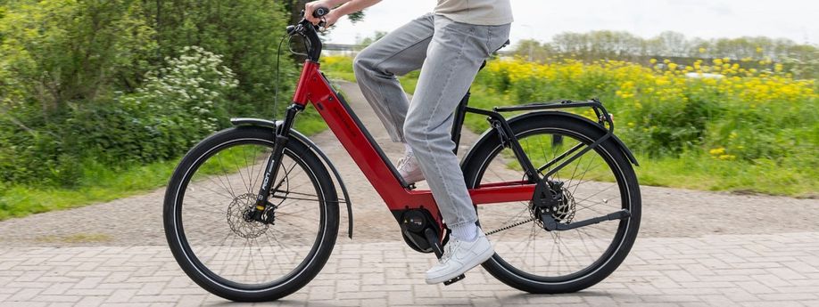 Persoon op een rode Riese & Müller Nevo e-bike die fietst over een klinkerweg met gravelpad erachter tussen struiken en planten ernaast