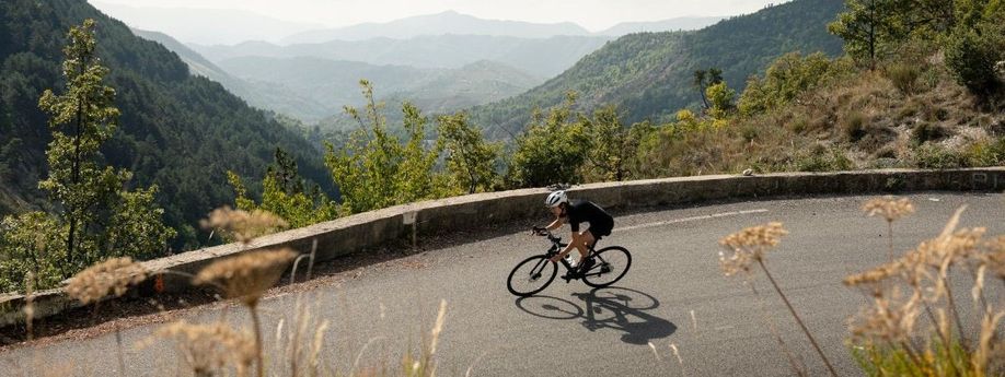 De nieuwe Trek Domane AL 2021 serie: bijzonder comfortabele beginnersfietsen