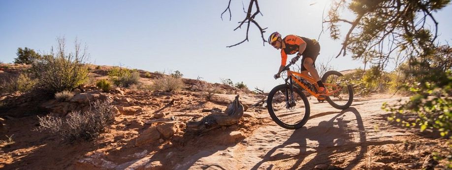 Compleet vernieuwd: de Trek Top Fuel