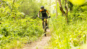 Koopgids: Welke buitenbanden heb je nodig voor de mountainbike?
