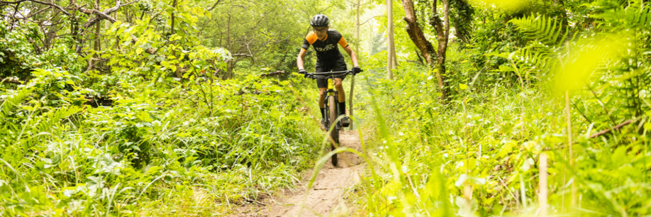 Koopgids: Welke buitenbanden heb je nodig voor de mountainbike?