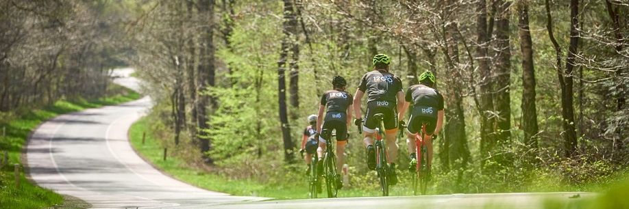Rondje van de maand: Utrechtse Heuvelrug