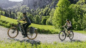 De beste elektrische fietsen voor op vakantie en in de bergen