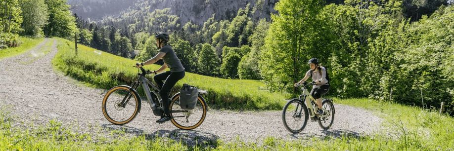 De beste elektrische fietsen voor op vakantie en in de bergen