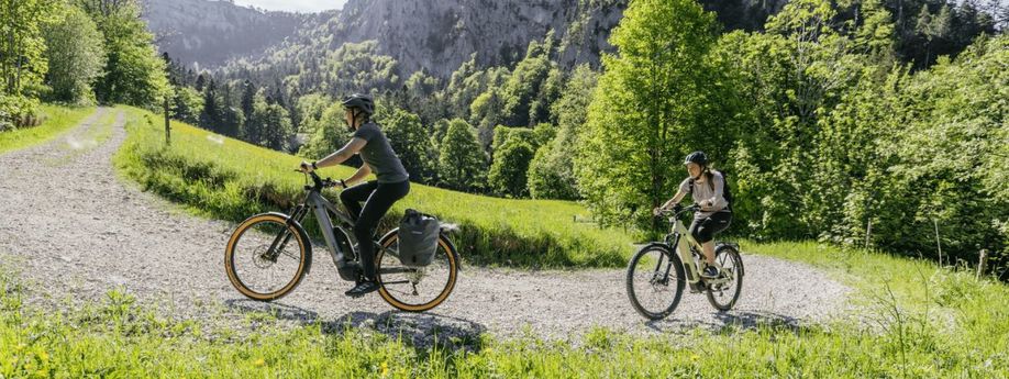 De beste elektrische fietsen voor op vakantie en in de bergen