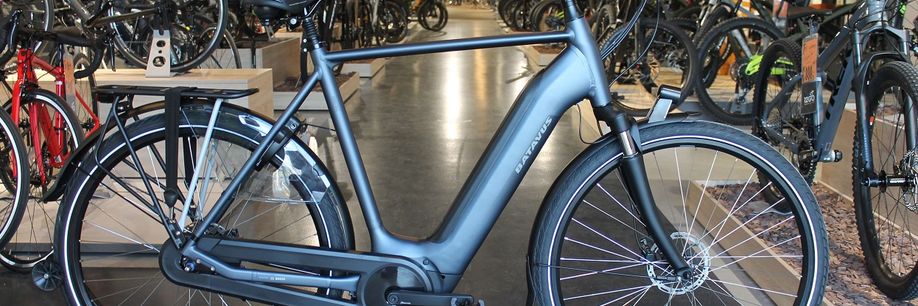 Comfortabel stad en land door fietsen op de Batavus Finez