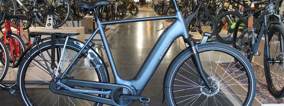 Comfortabel stad en land door fietsen op de Batavus Finez