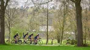 Groepje racefietsers fietsen tussen bomen en weilanden met schapen door over een smal fietspad