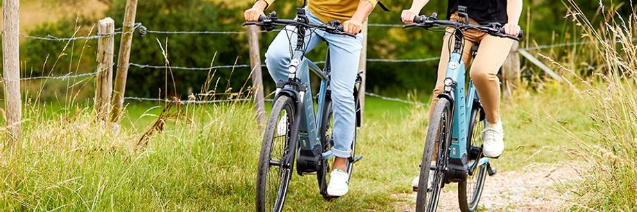 De 5 beste Gazelle e-bikes van 2024