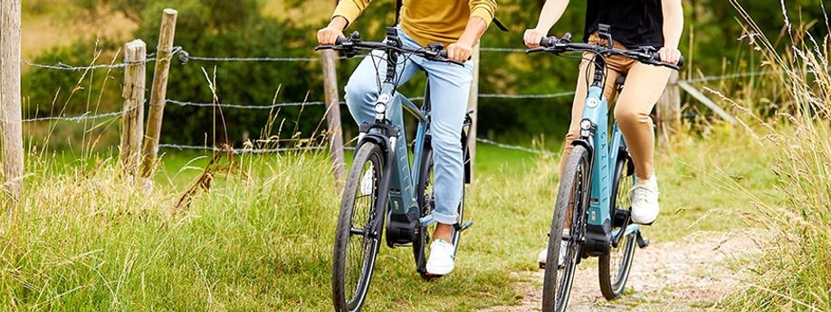 De 5 beste Gazelle e-bikes van 2024