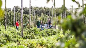 Bier &amp; Wielrennen: de routes