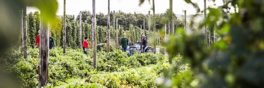 Bier &amp; Wielrennen: de routes