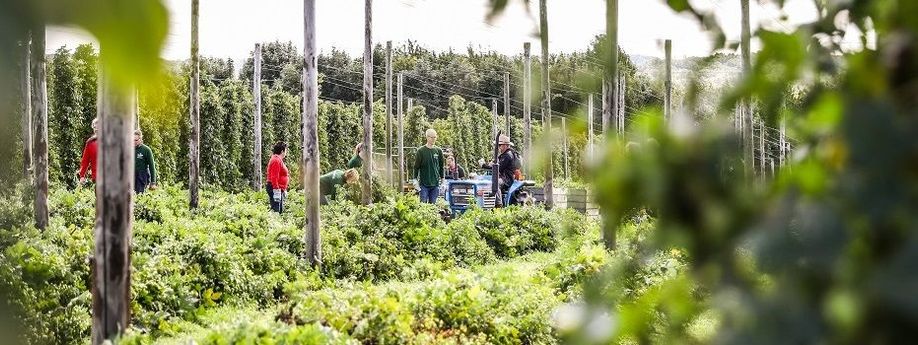 Bier &amp; Wielrennen: de routes