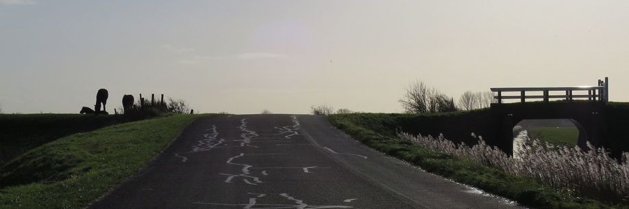 Rondje van de Maand: Naar de Waddendijk vanaf Groningen Stad (73 km)
