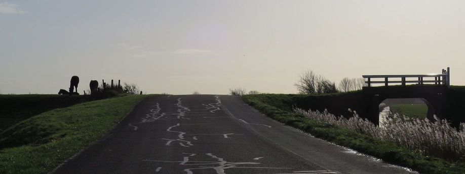 Rondje van de Maand: Naar de Waddendijk vanaf Groningen Stad (73 km)