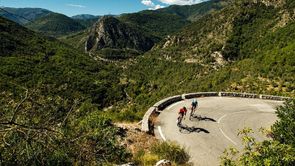 Nieuwe collectie: racefietsen 2018