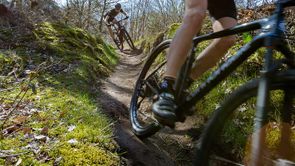 Twee mountainbikers met 12GO Biking fietsshirt dalen kronkelend bospaadje op snelheid af met technisch sturen