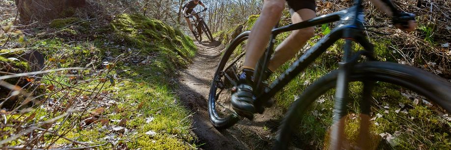 Twee mountainbikers met 12GO Biking fietsshirt dalen kronkelend bospaadje op snelheid af met technisch sturen