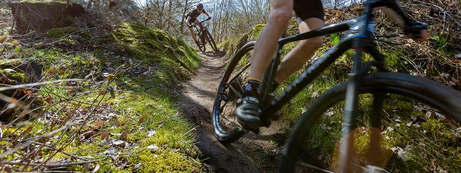 Twee mountainbikers met 12GO Biking fietsshirt dalen kronkelend bospaadje op snelheid af met technisch sturen