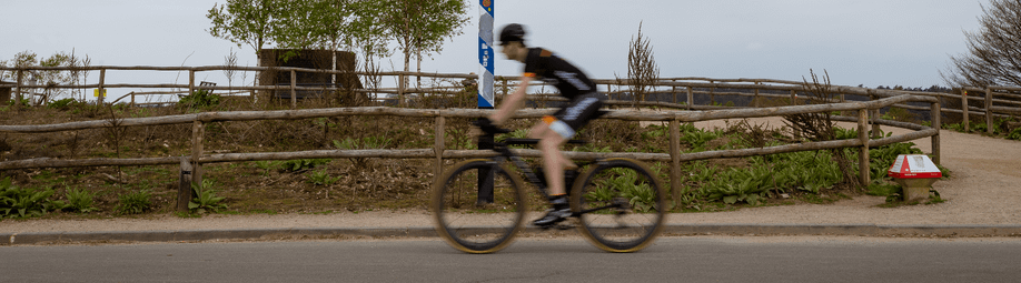 Fietsen in Nederland