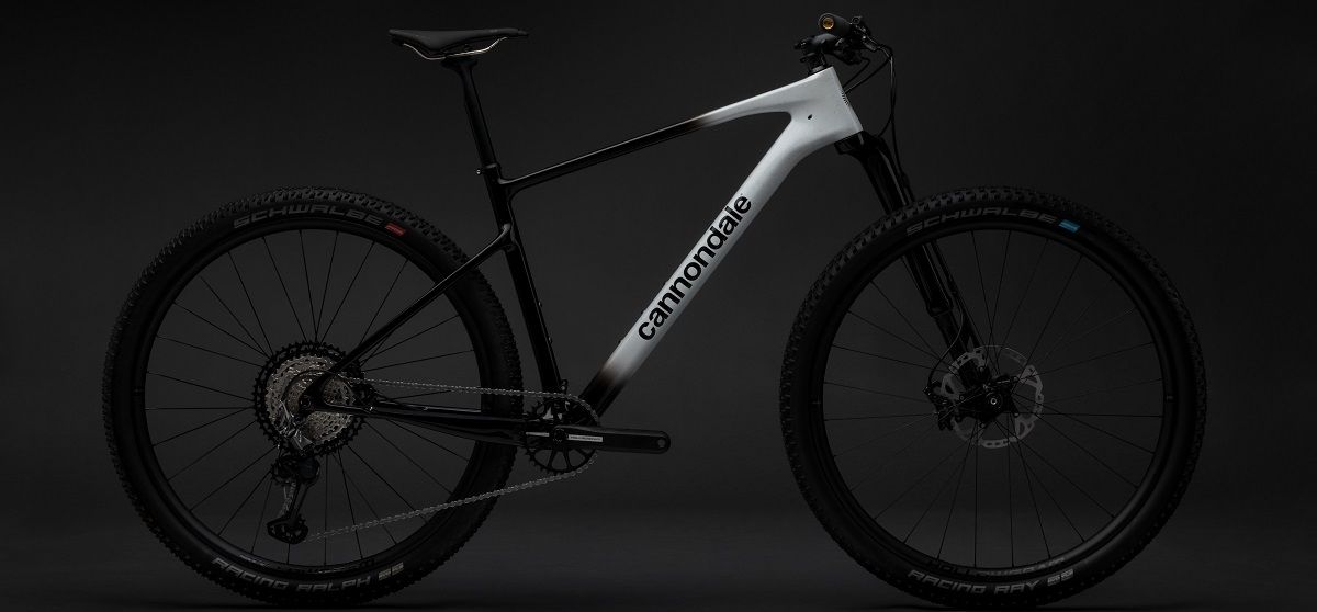 Luie hoek van het balhoofd van de Cannondale Scalpel HT