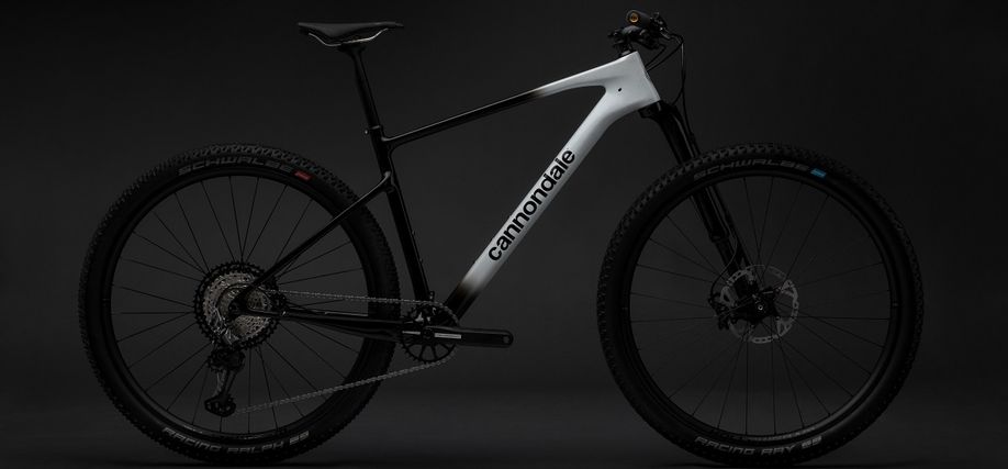 Luie hoek van het balhoofd van de Cannondale Scalpel HT