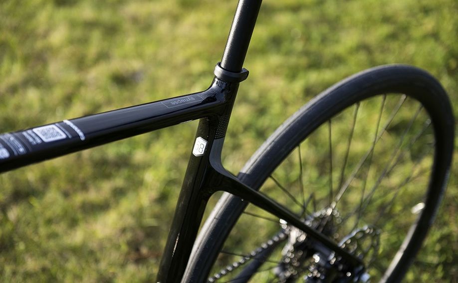 Verbreedde achterbrug van de Cannondale Synapse Carbon 2022