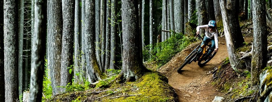 Trek Fuel EX Gen 6 2023