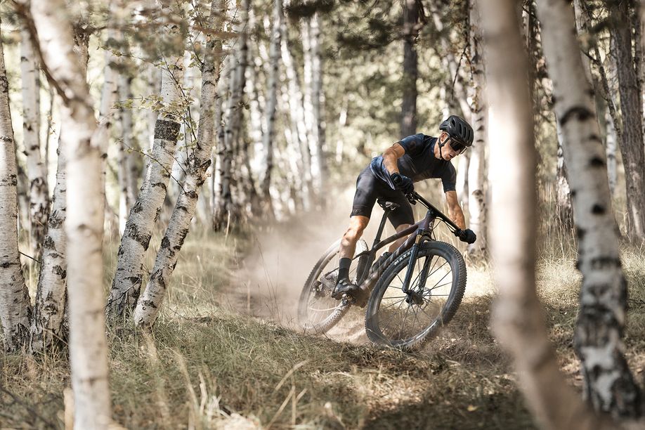 scott scale 2023 in actie