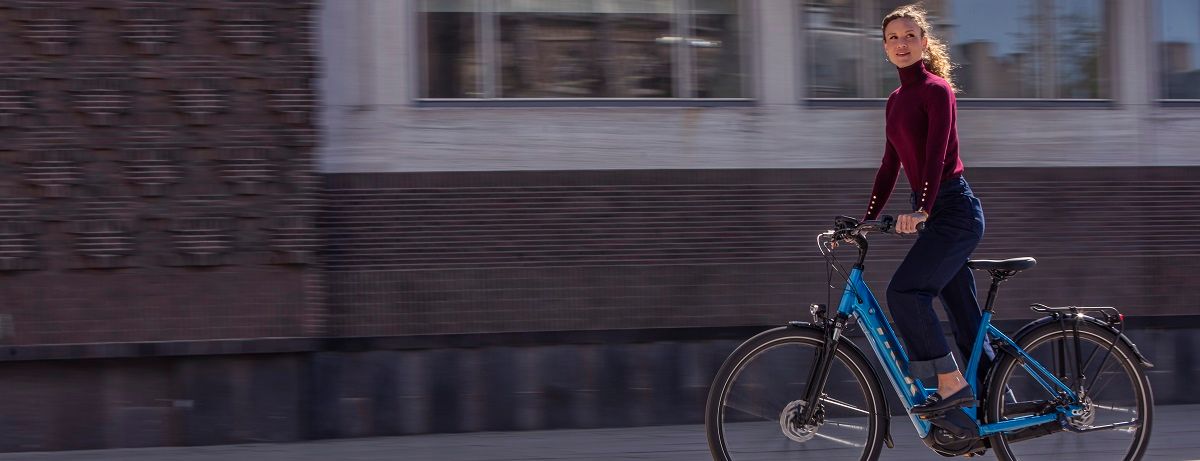 Trek District elektrische fiets