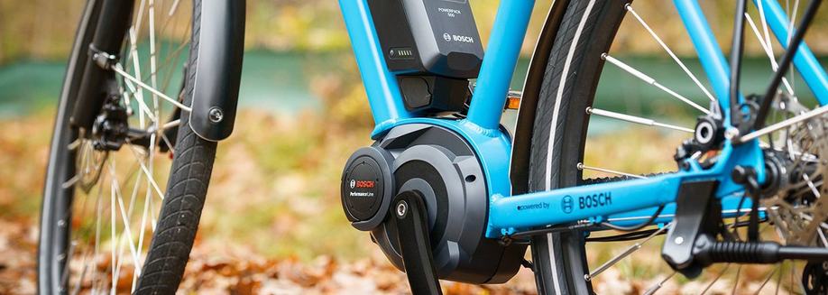 Blauwe fiets met Bosch Performance Line motor en accu op framebuis op het gras met veel bladeren en een groen hek op de achtergrond