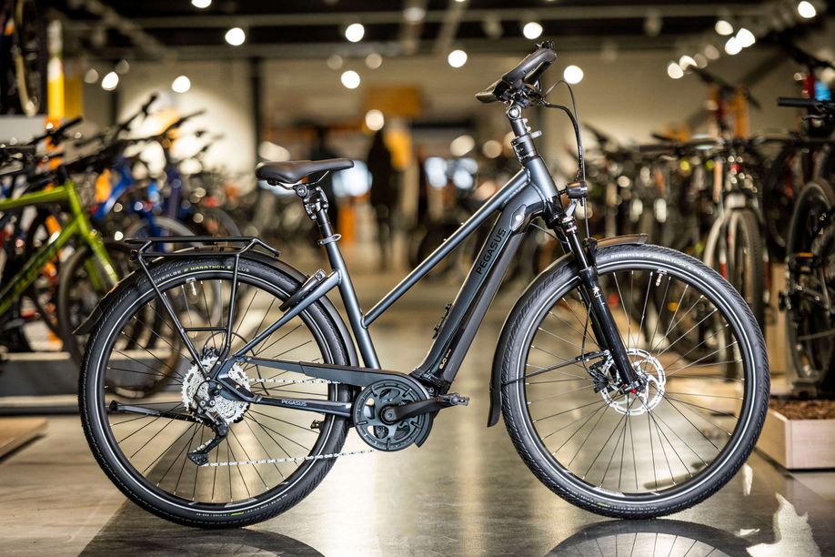 Pegasus Premio EVO 10 Lite Comfort Kopen bij 12GO Biking