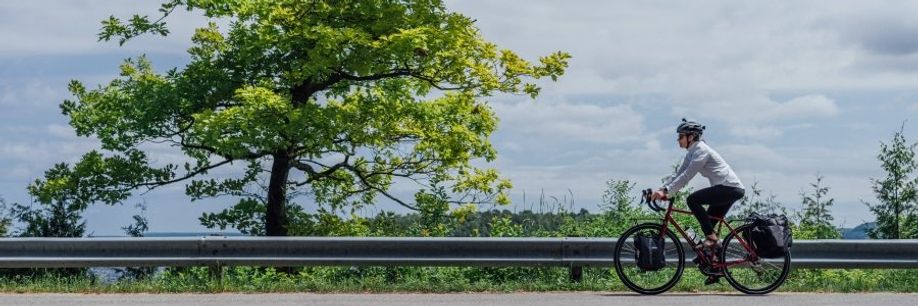 Trek Collectietoppers