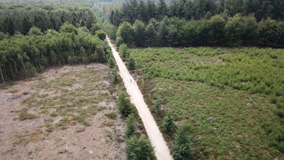 Drone-shot van mountainbiker op droog pad die vanuit de open groene vlakte de hoge en dichtbegroeide groene bossen in gaat