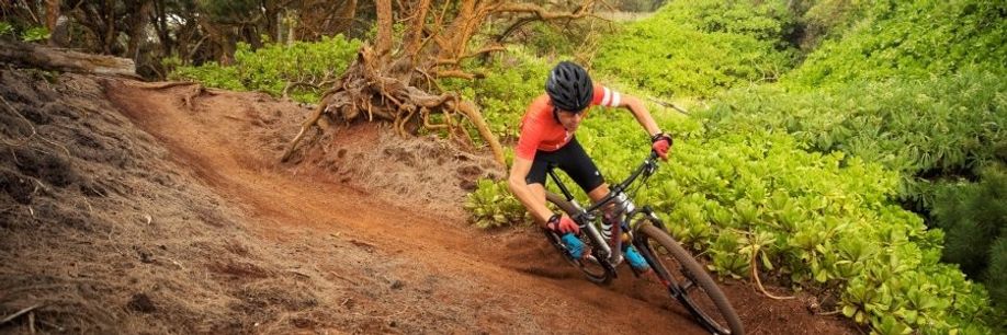 Mannelijke fietser rijd met grijze mountainbike over bospad met veel groen en droge wortels op de achtergrond